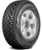 Delinte Winter WD42 275/50 R21 113T