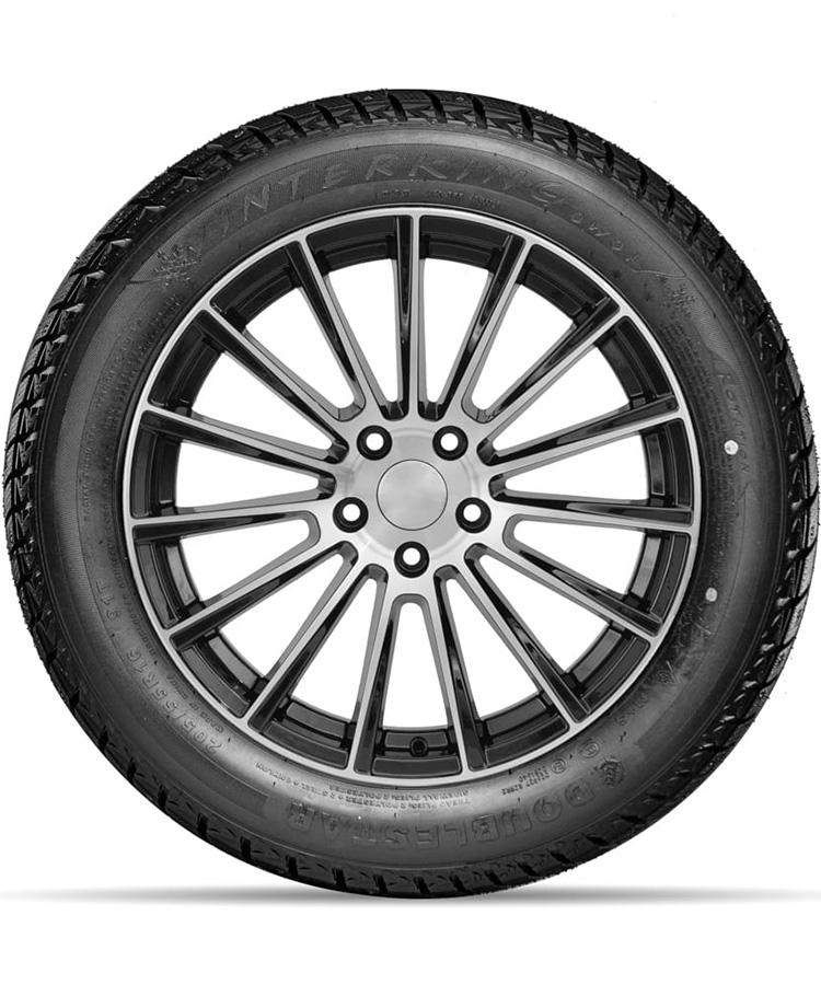 Doublestar DW01 заказать